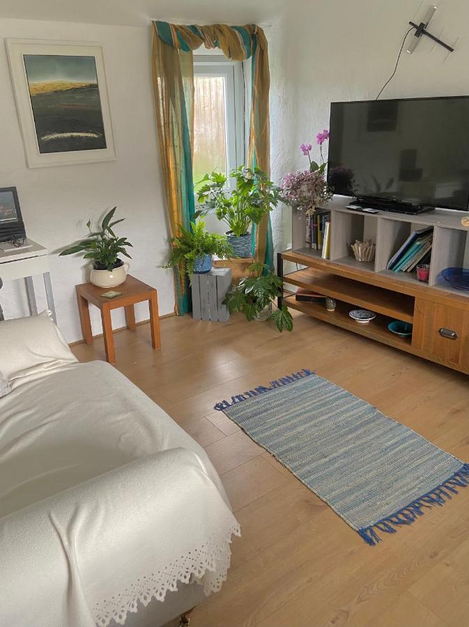 Idyllic Cornish Cottage, Superking Bed, Private Garden Dogs Welcome Truro Exterior photo