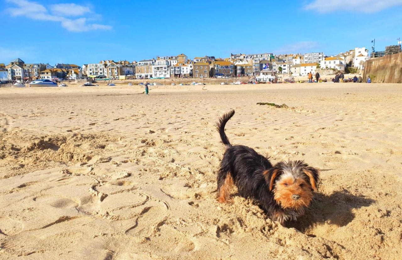 Idyllic Cornish Cottage, Superking Bed, Private Garden Dogs Welcome Truro Exterior photo